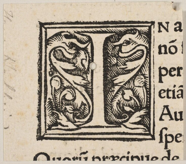 Print Johann Froben V&A Explore The Collections