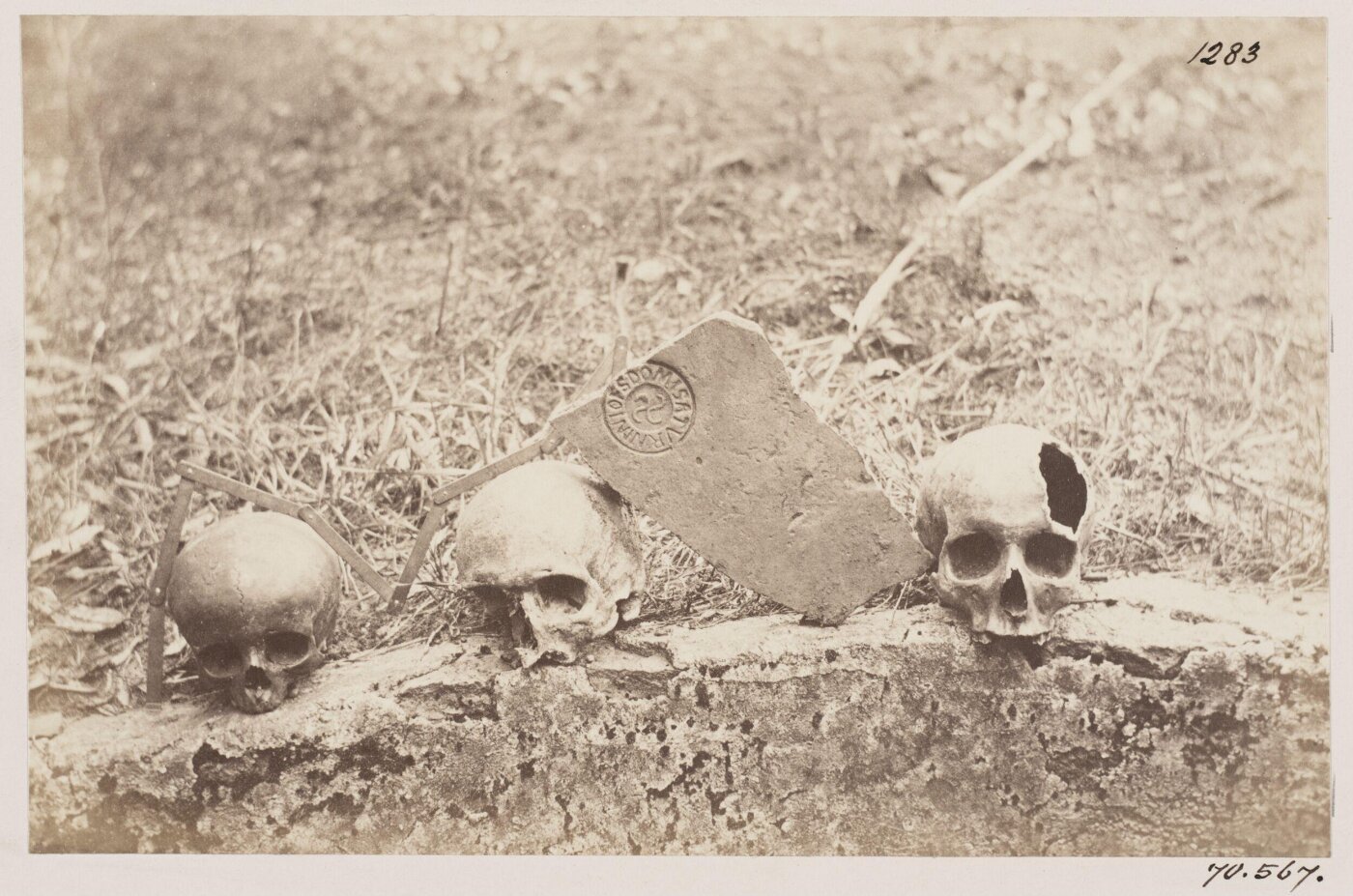 Parker, John Henry, Photograph