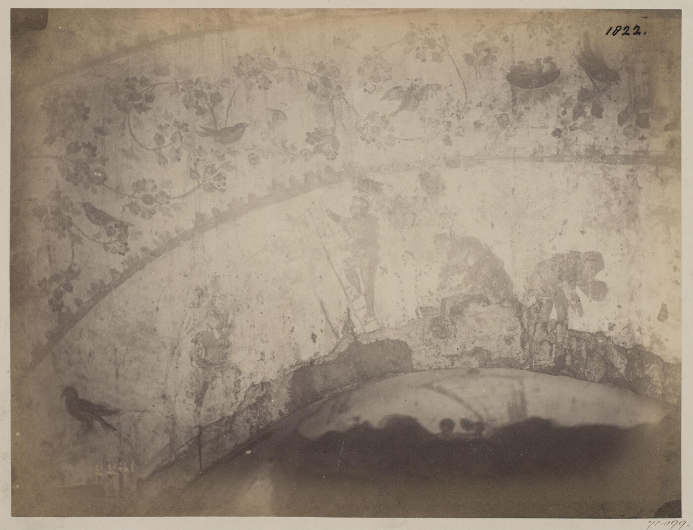 Parker, John Henry, Photograph