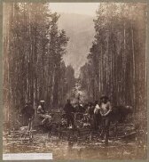 Cutting on the 49th Parallel, on the Right Bank of the Mooyie River Looking West thumbnail 2