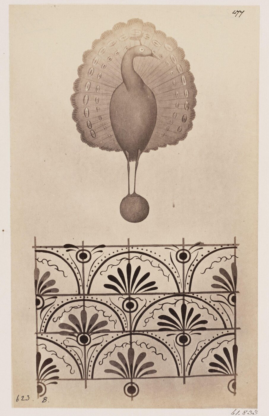 Parker, John Henry, Catacomb of S. Priscilla - A Peacock, with tail expanded and Diaper Ornaments, A.D. 523