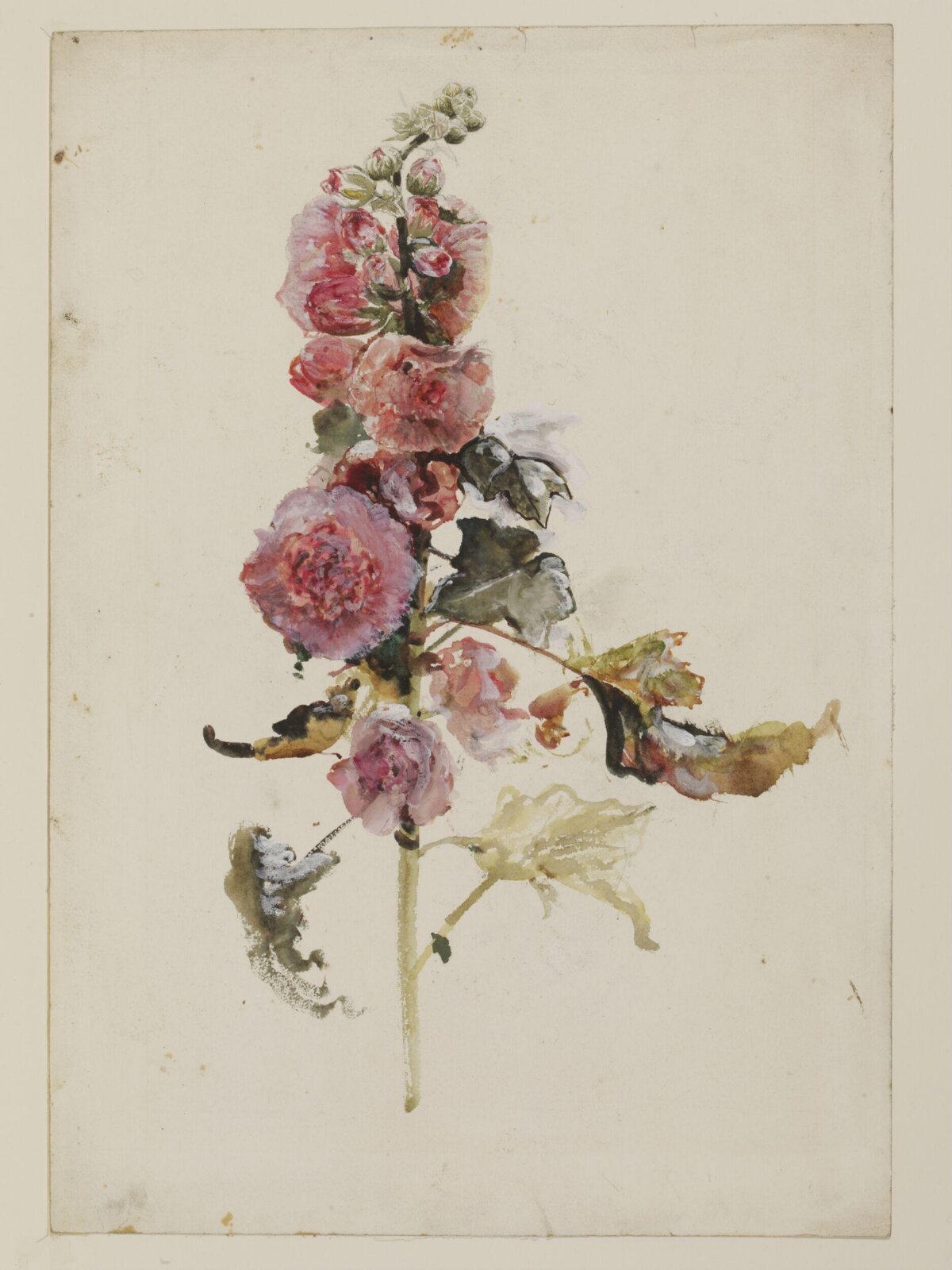 Hollyhocks, Cecil Gordon Lawson, ca. 1877