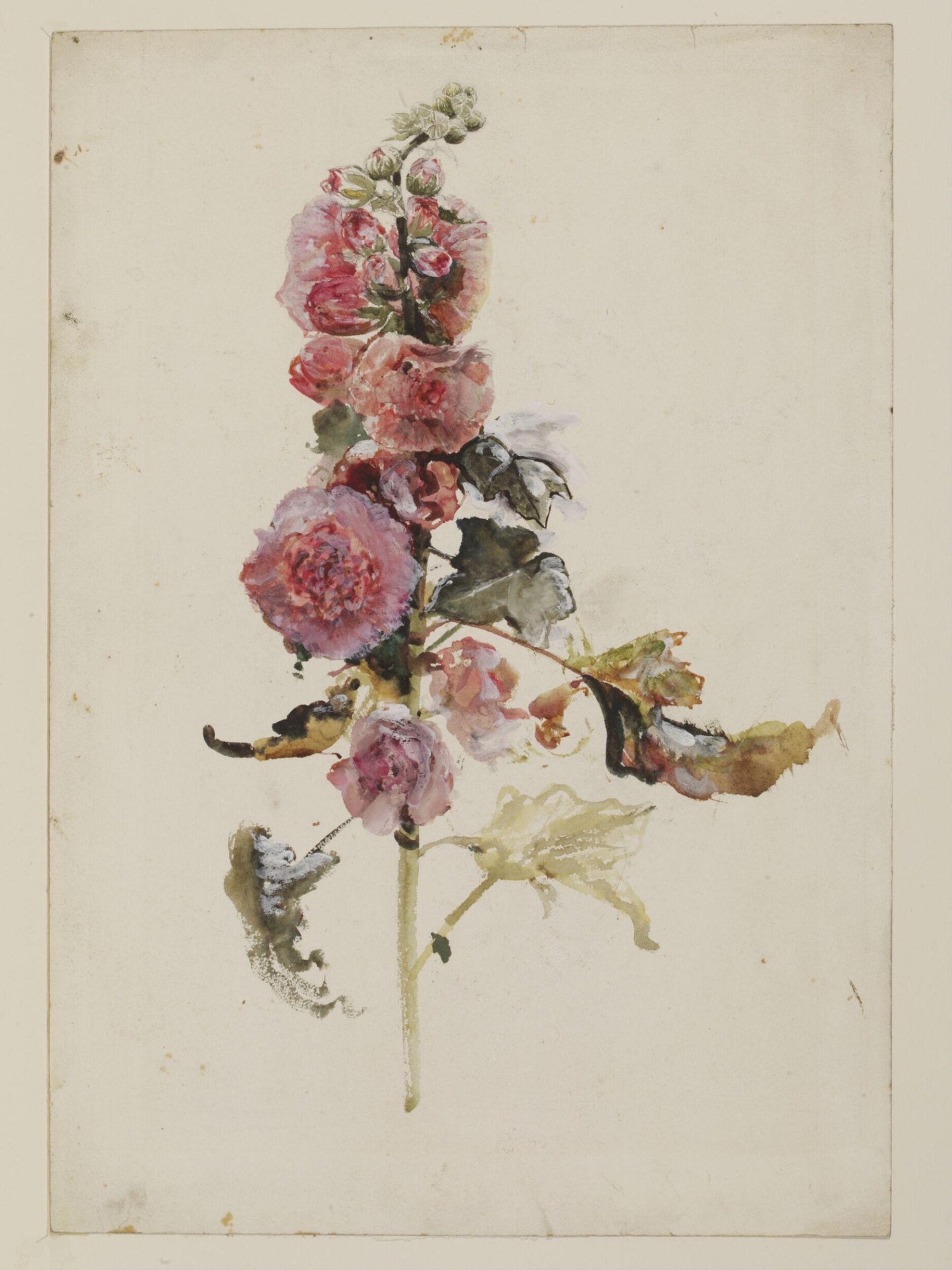 Hollyhocks, Cecil Gordon Lawson, ca. 1877