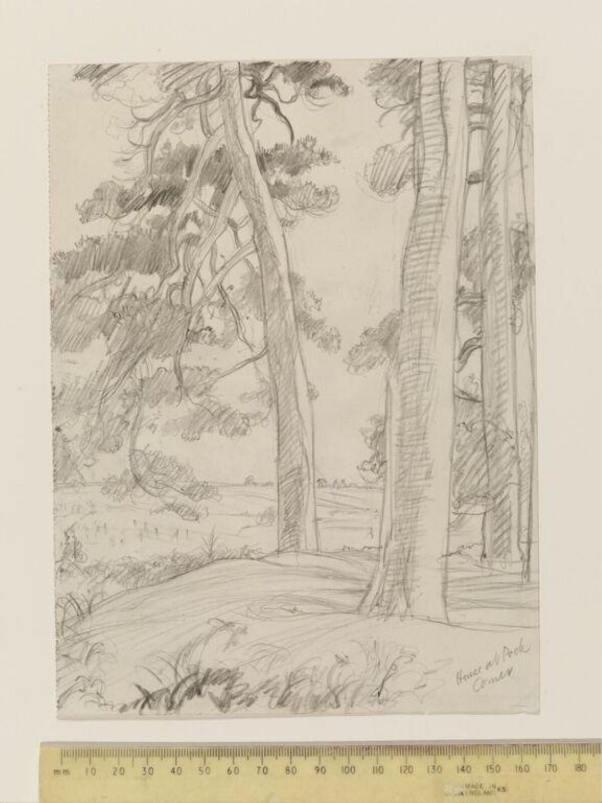 The House at Pooh Corner, E. H. Shepard, 1928