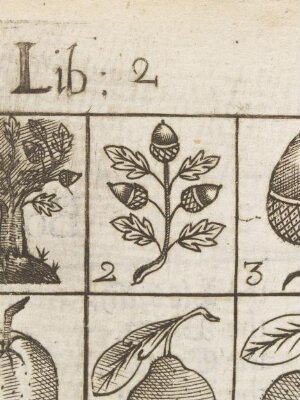 The academy of armory, or, A storehouse of armory and blazon