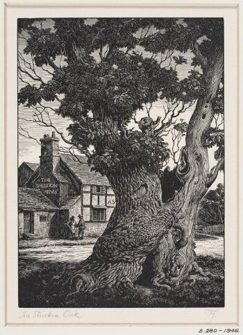 The Stricken Oak