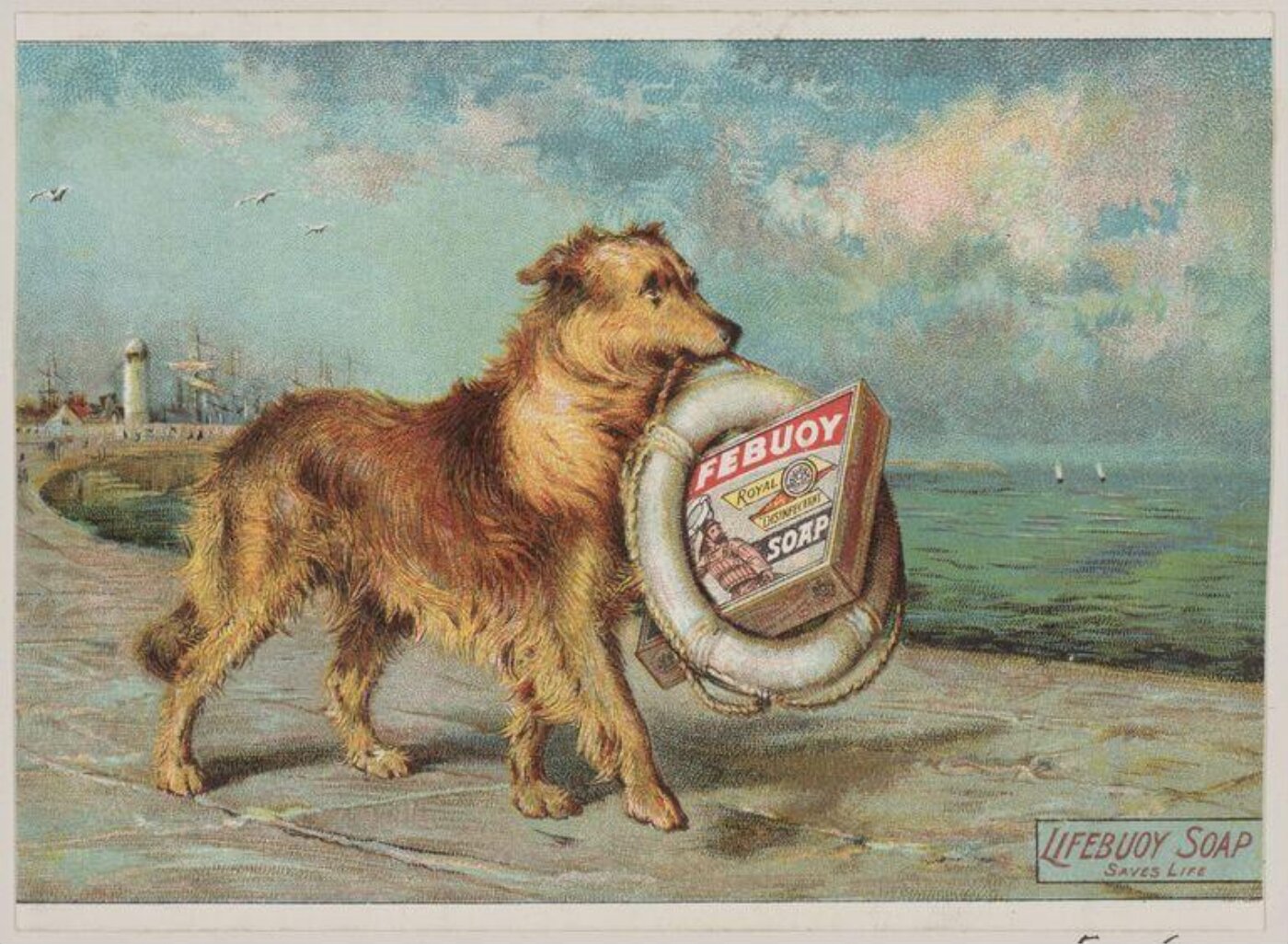 Unknown, Lifebuoy Soap