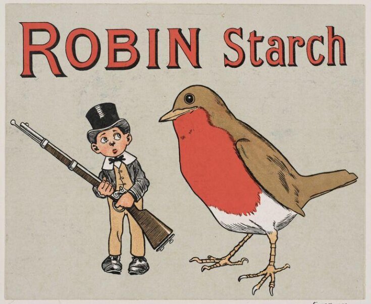 Robin Starch top image