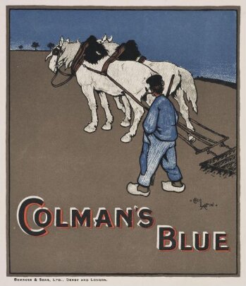 Colman's Blue