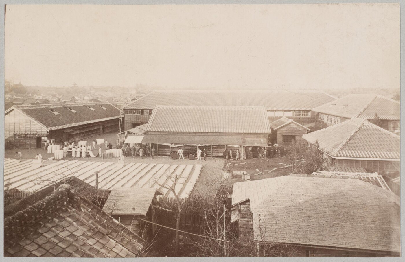 Unknown, Photograph