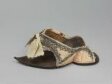 Shoe and Patten thumbnail 2