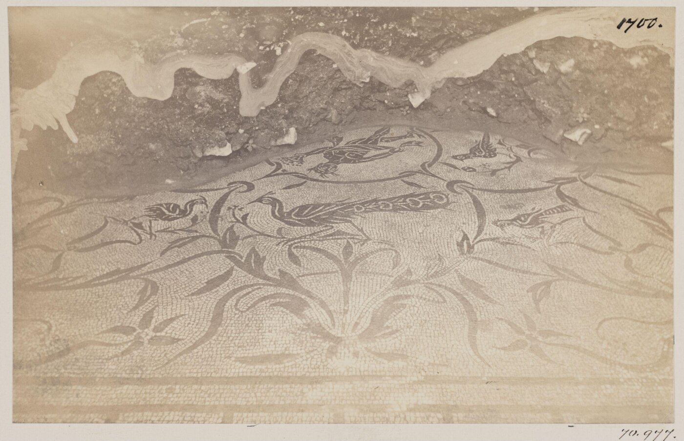 Parker, John Henry, Mosaic Pavement, with Birds and Tritons, in a House of the time of Hadrian, in the Vigna Guidi