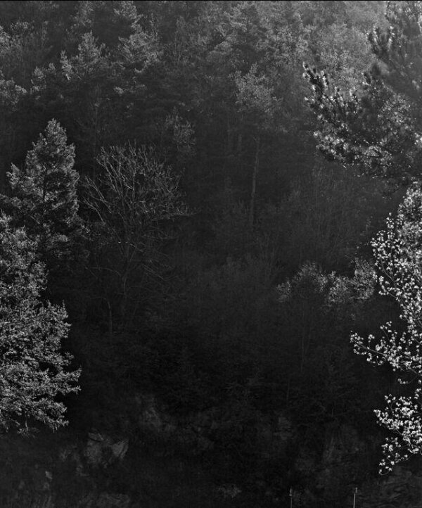 default.jpg