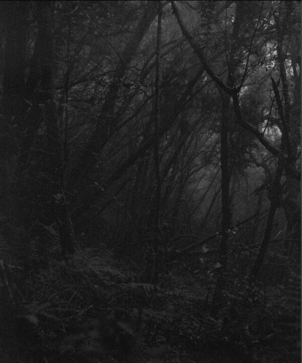 343-18' from the series Sequester | Awoiska van der Molen | V&A