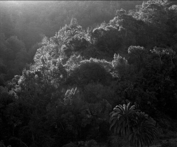346-18' from the series Sequester | Awoiska van der Molen