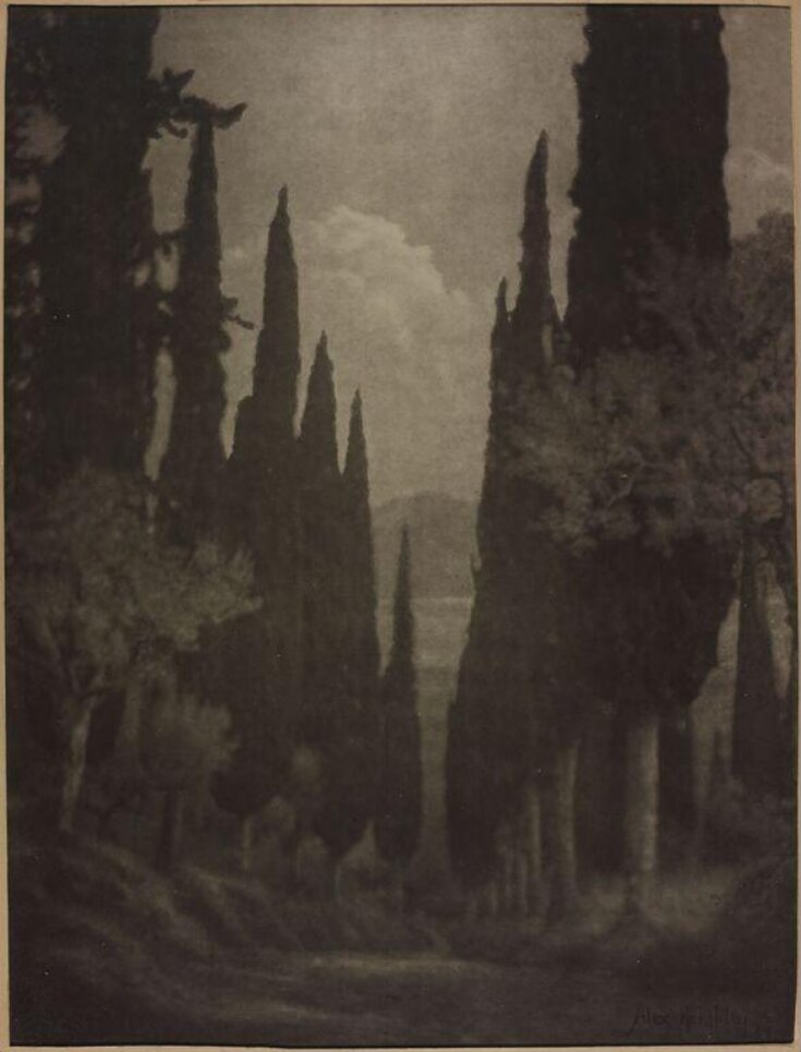 The Rest Is Silence Alexander Keighley V A Explore The Collections The Rest Is Silence Alexander Keighley V A Explore The Collections