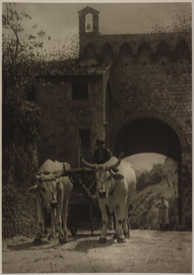 Oxen at the Gate top image