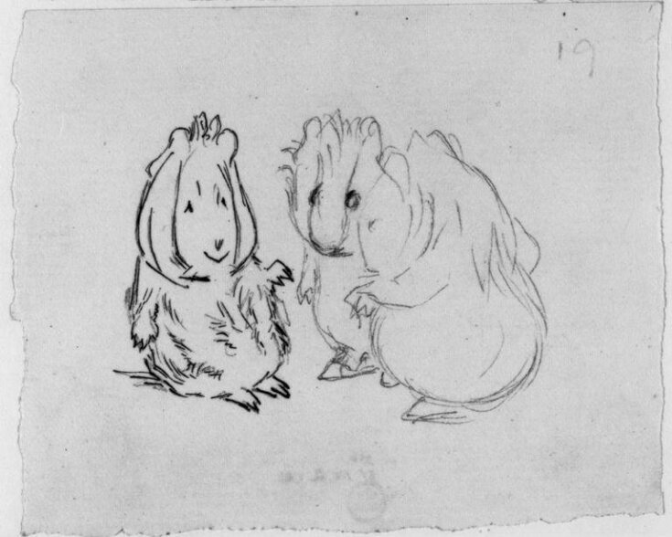 Study for a scene in a picture story: 'the guinea pig has doubts' top image