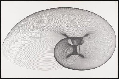 The Snail