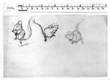 Studies of mice dancing thumbnail 1