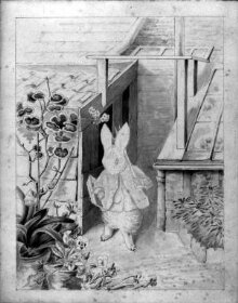 A rabbit gardener thumbnail 1