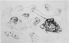 Studies of frogs thumbnail 1