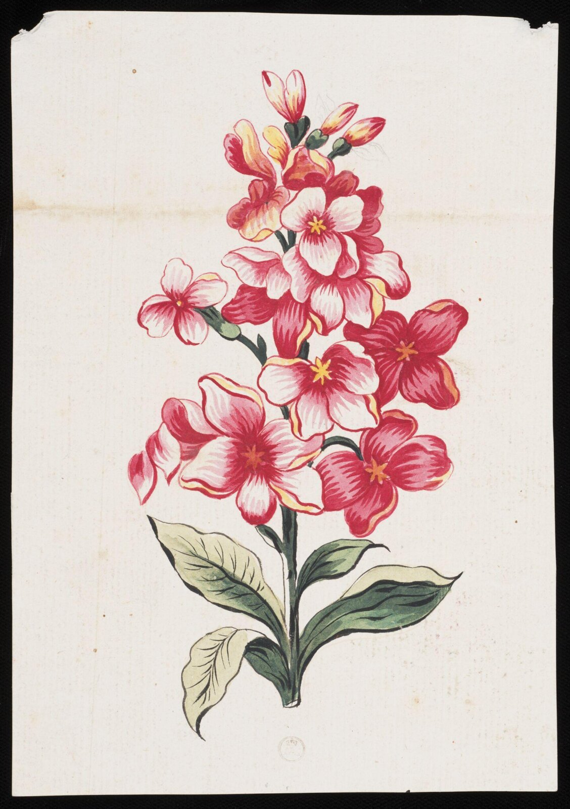 Drawing, early 19th century