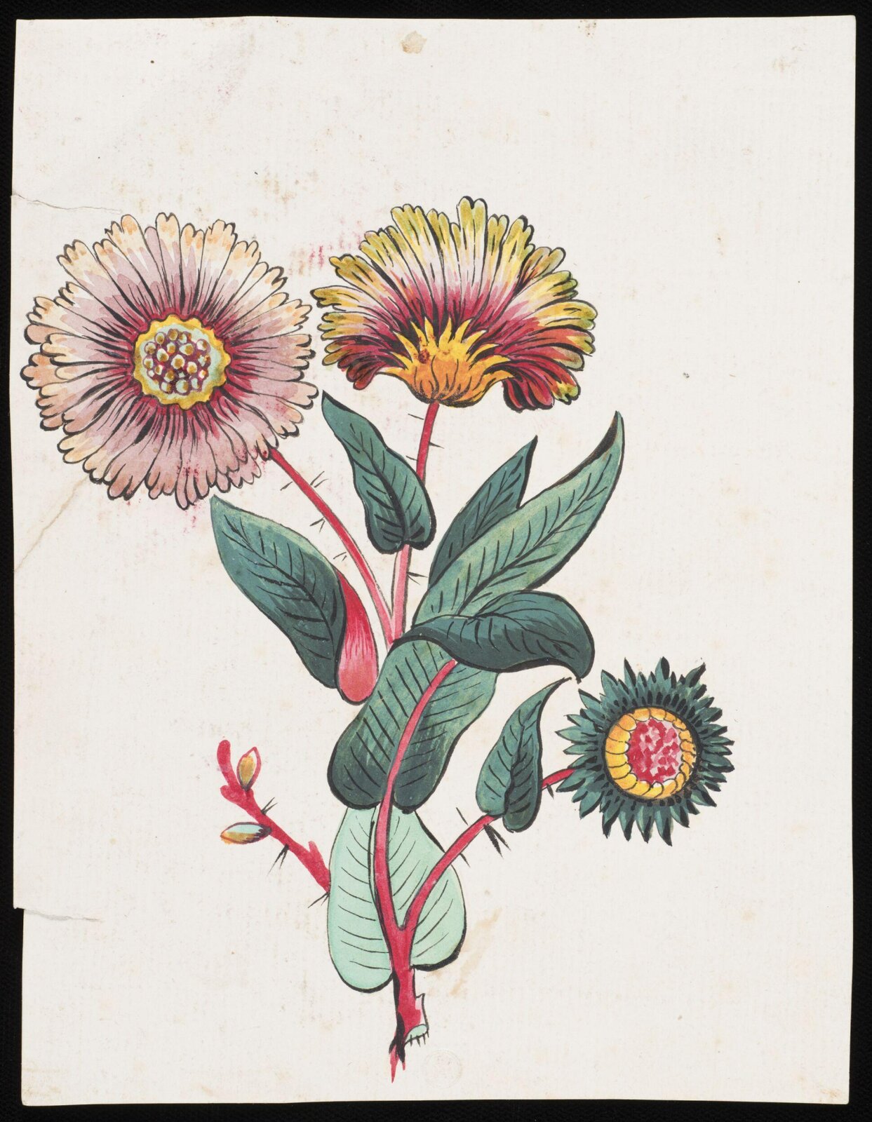 Drawing, early 19th century