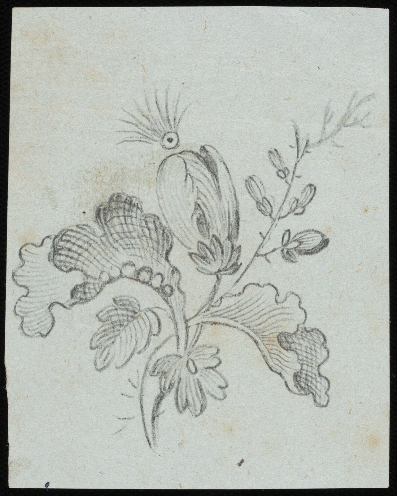 Drawing, early 19th century