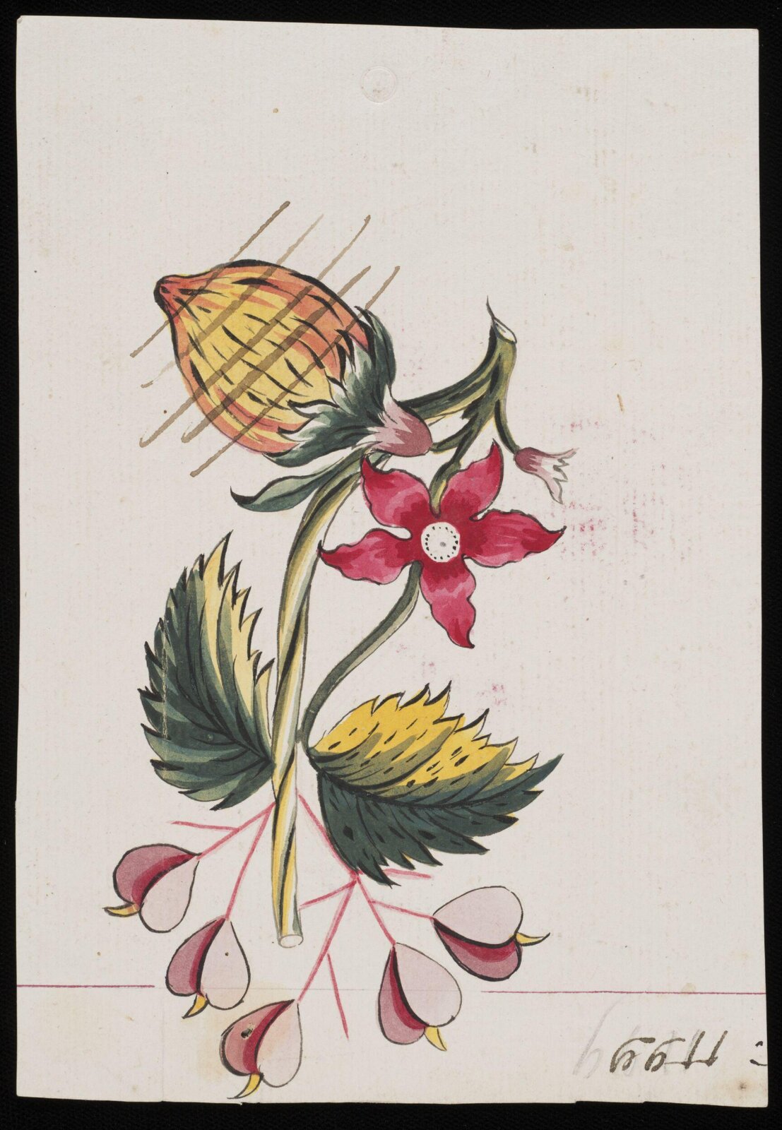Drawing, early 19th century