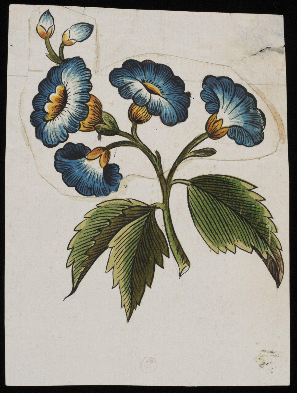 Drawing, early 19th century