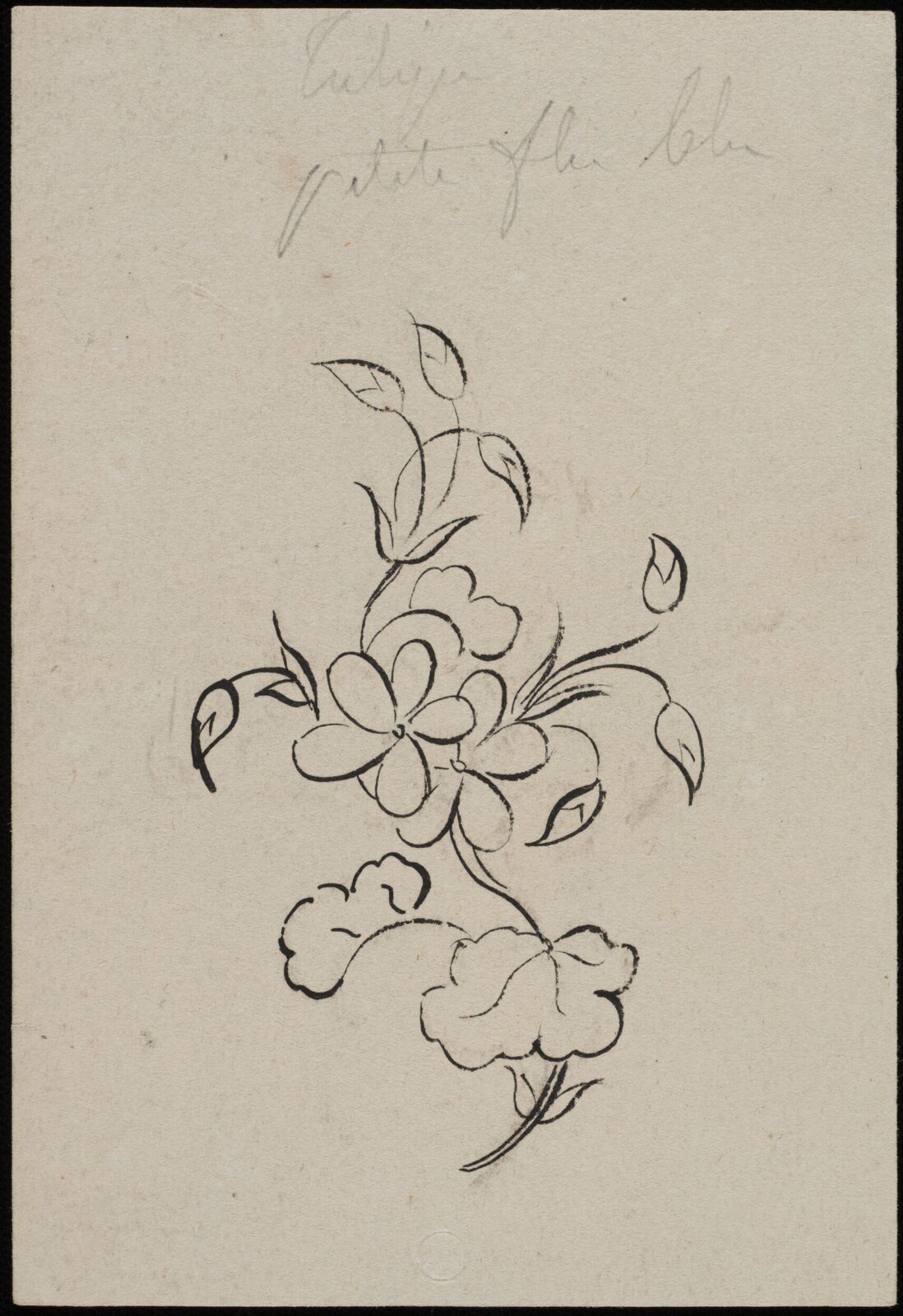 Drawing