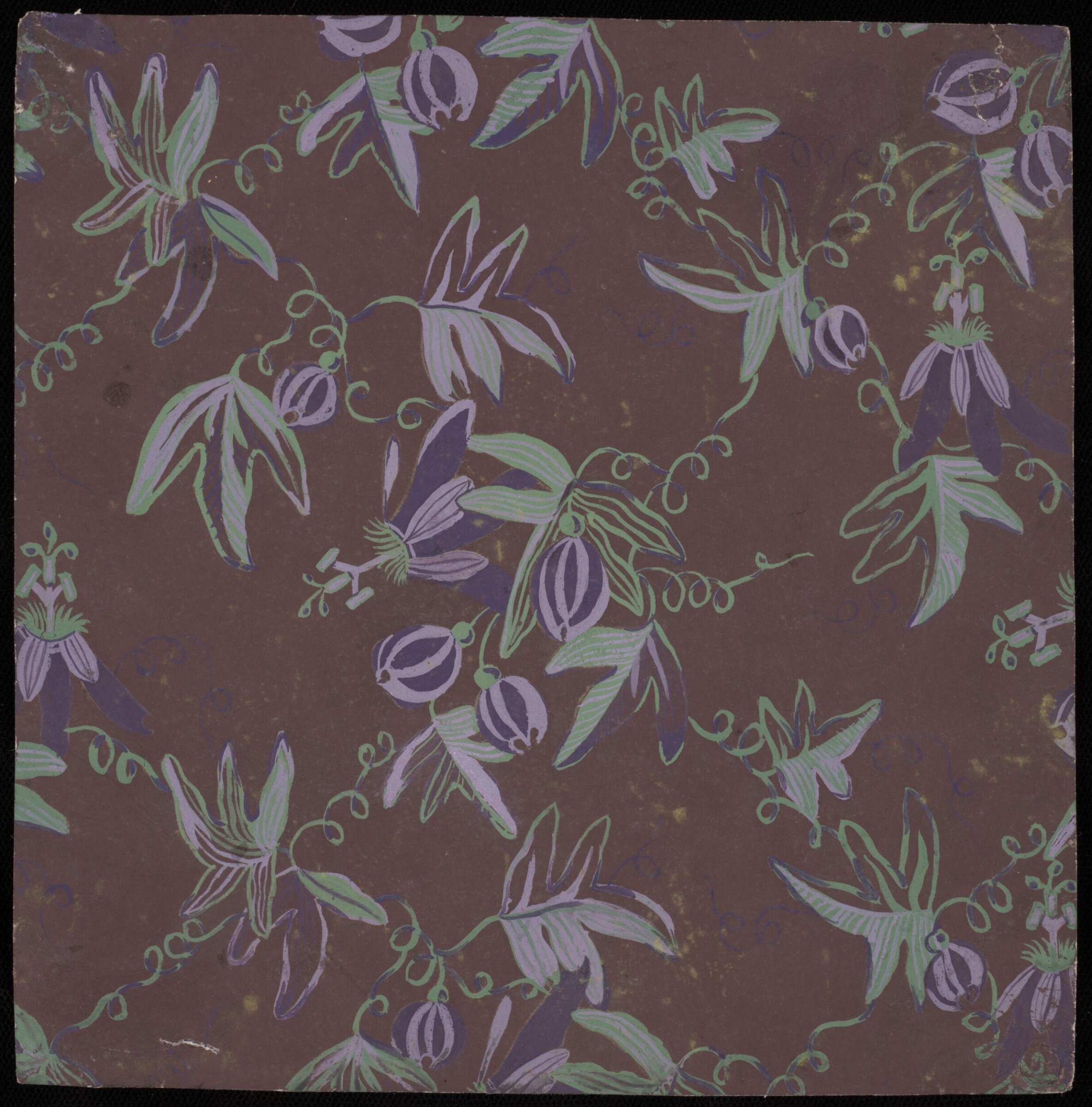 Drawing, Susan Ashworth, early 19th century