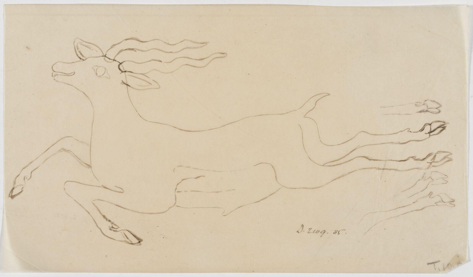 Drawing