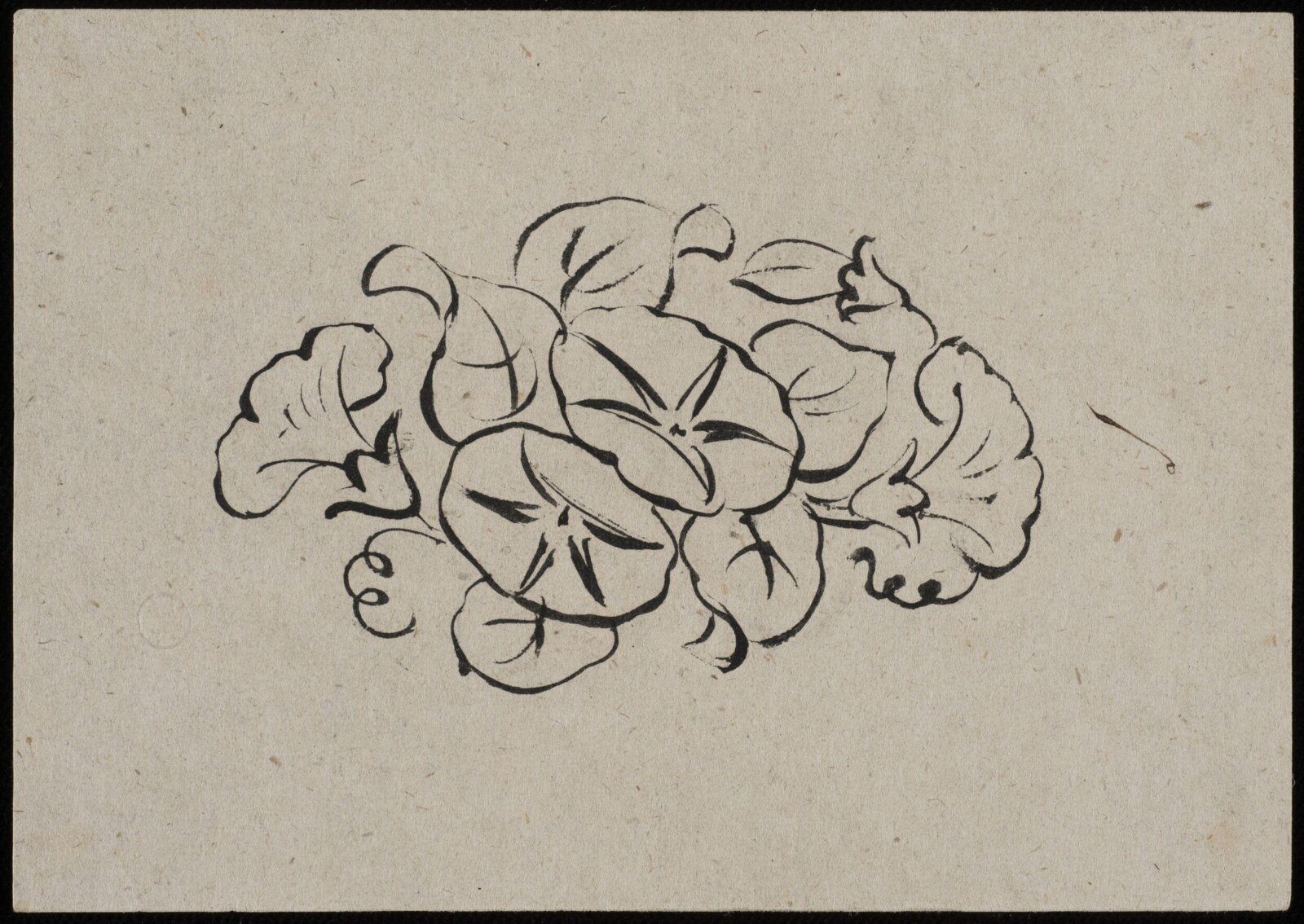 Drawing