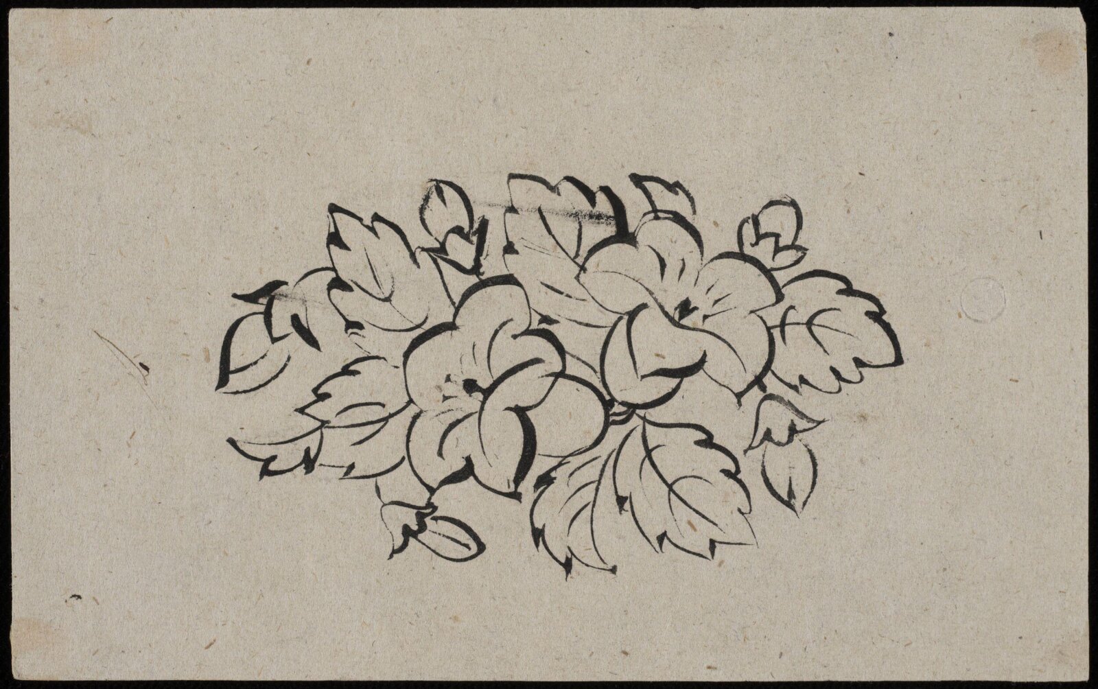 Drawing