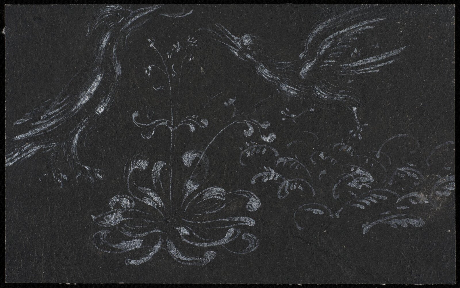 Drawing