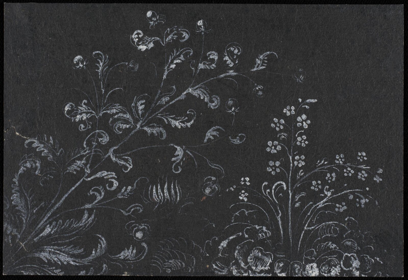 Drawing