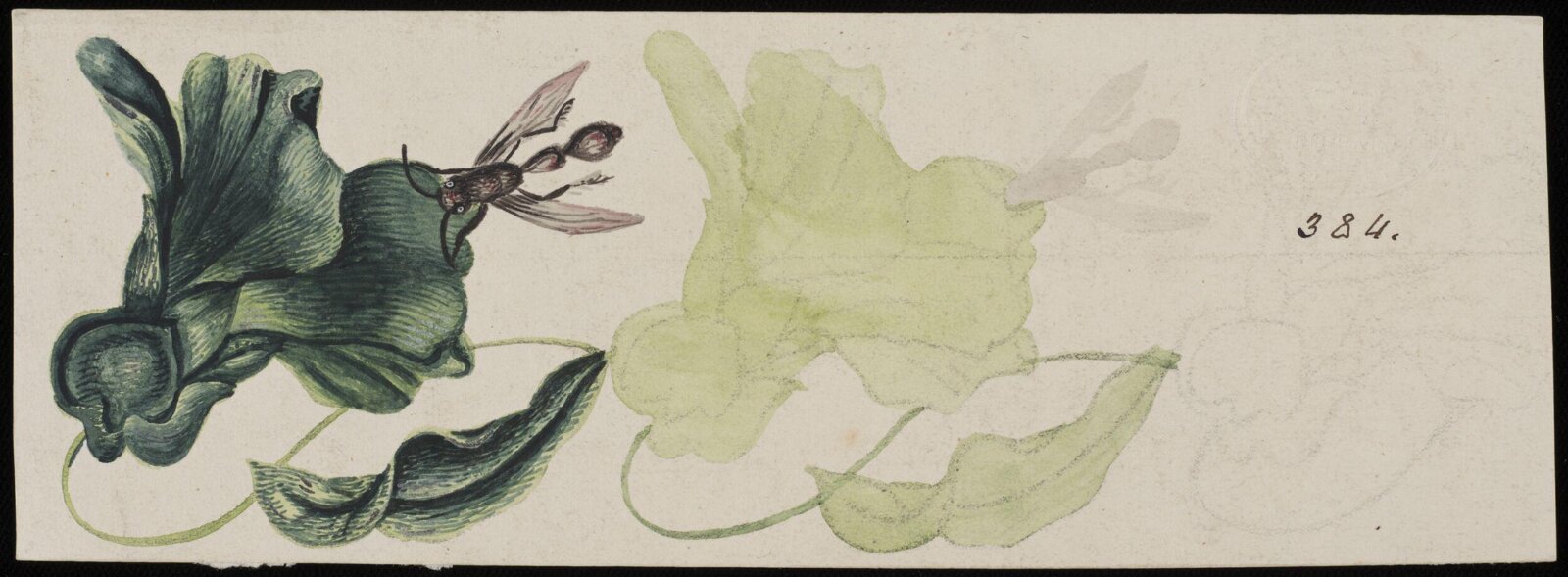 Drawing, c. 17th century - mid 19th century
