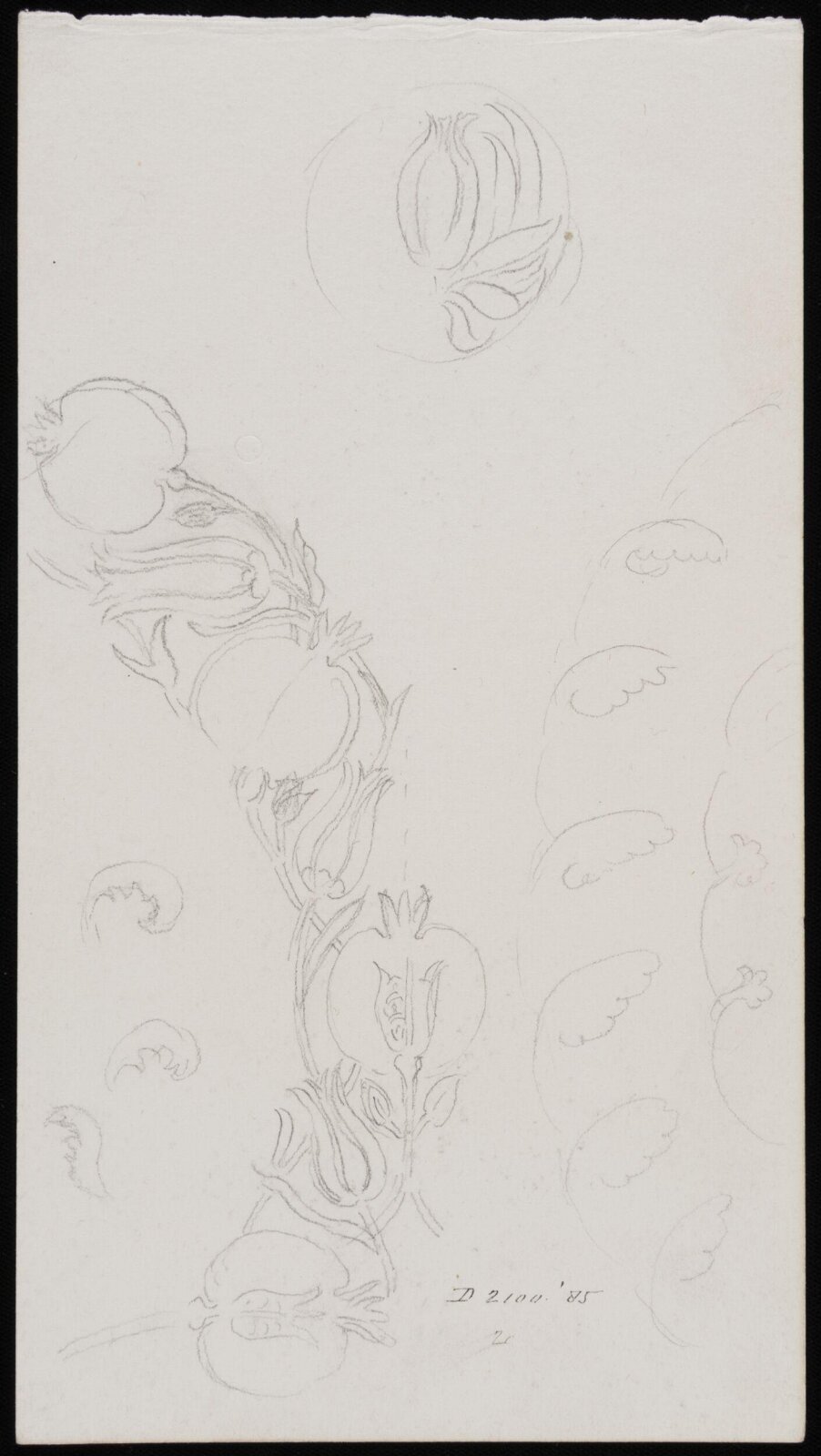 Drawing
