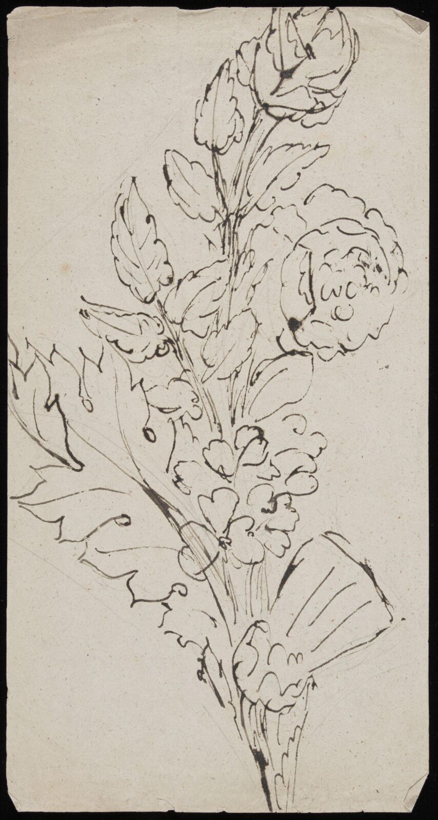 Drawing