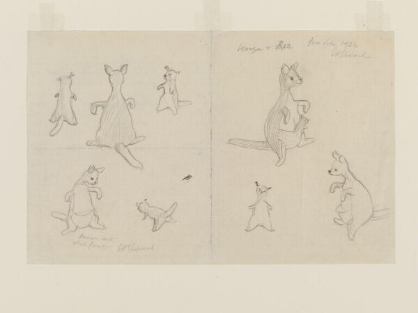 Amazon.co.jp: Work of E.H. Shepard : Knox, Rawle: 洋書