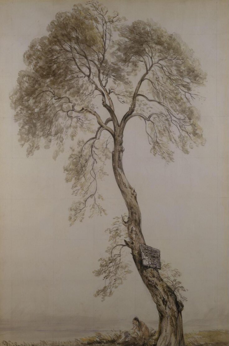 An ash tree top image