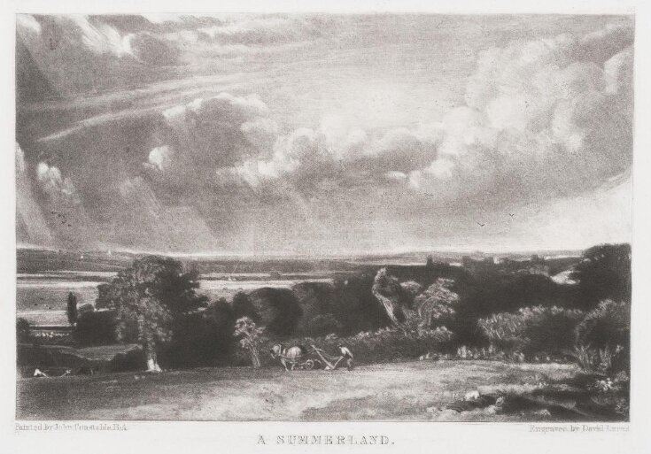 A SUMMERLAND top image