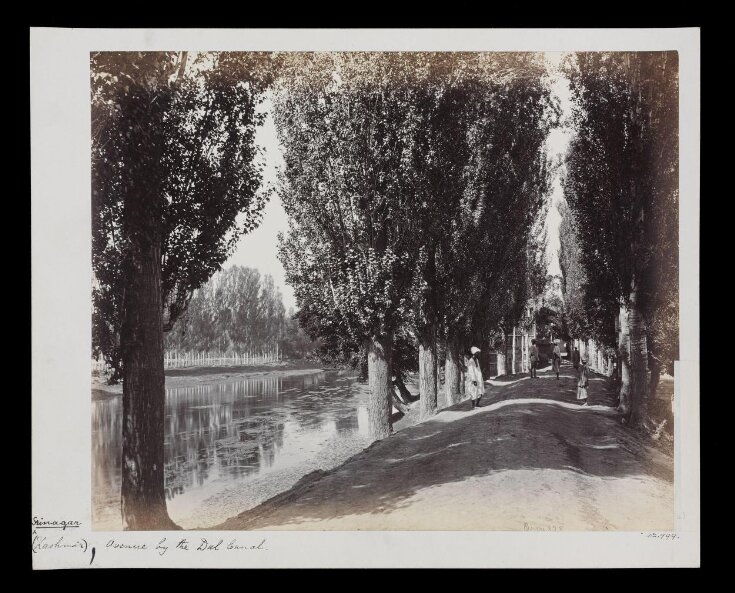 Avenue by the Dhul Canal top image