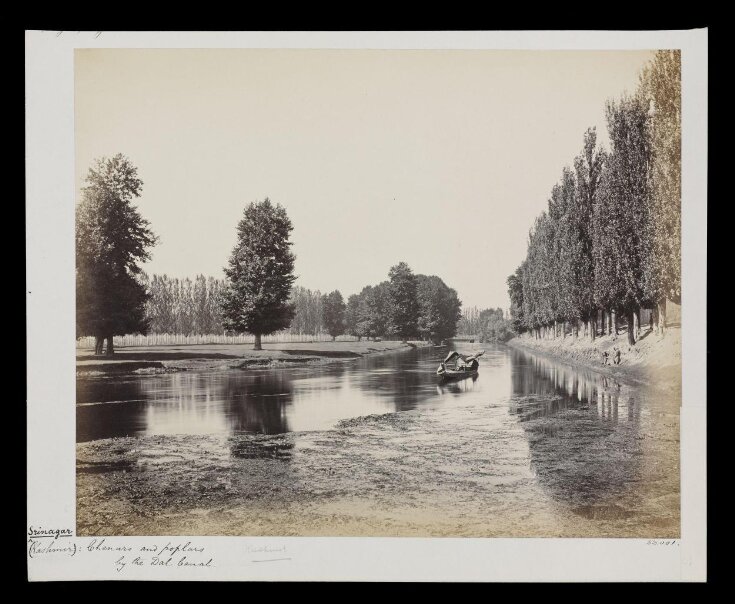 Chunnars and poplars by the Dhul Canal top image
