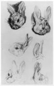 Studies of a rabbit's head (Benjamin Bouncer) thumbnail 2