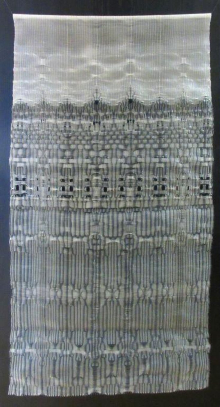 X-Ray Series Woven Hanging top image