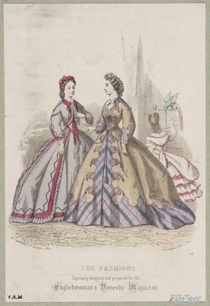 Fashion Plate top image