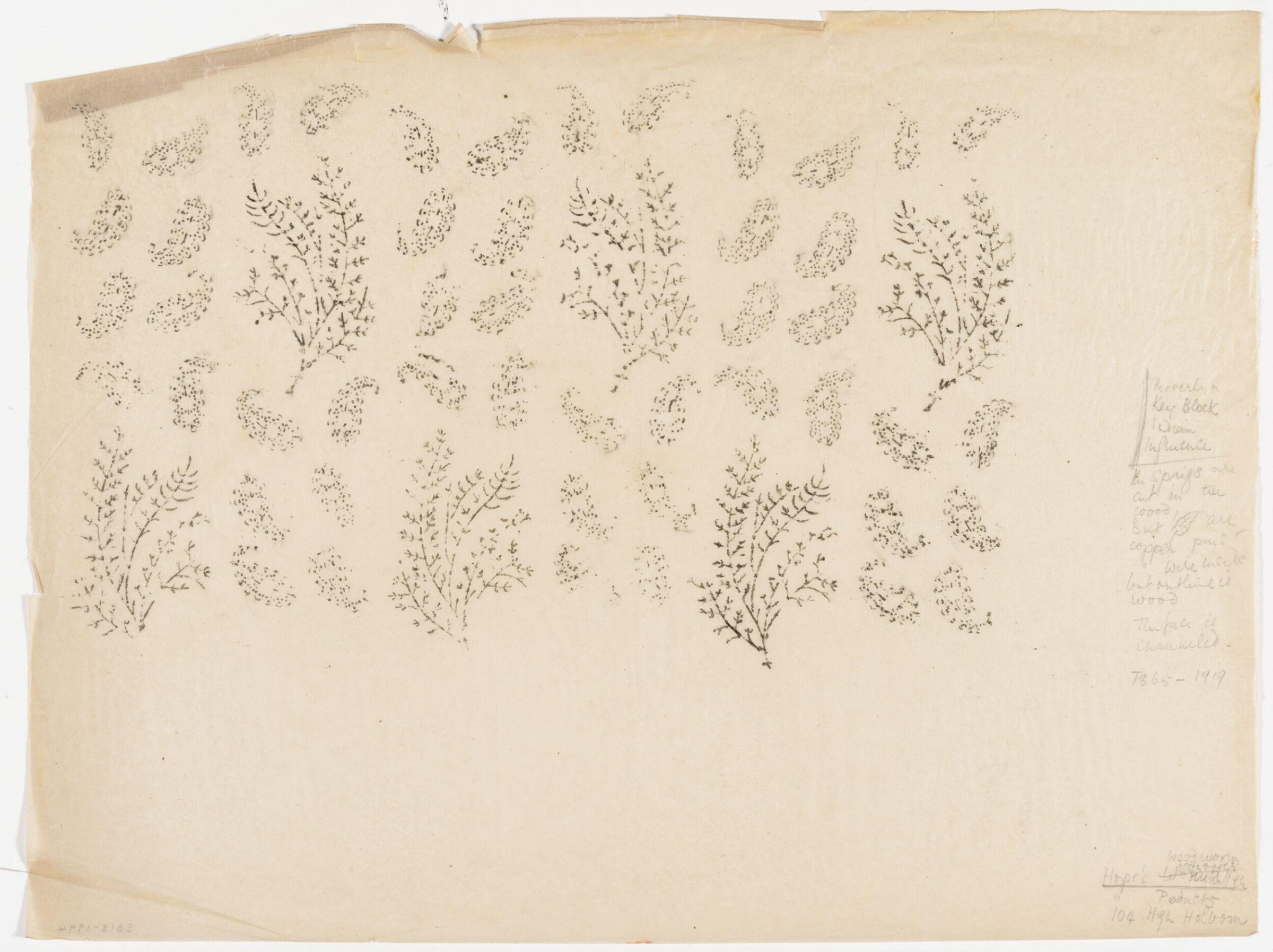 Impression from a wooden printing block, showing Indian leaves [boteh] and branches of fern., Albert Edward Hayes, 19th century